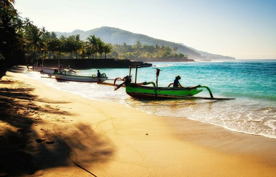 A traditional outrigger boats line the golden sands of Lovina Beach, Bali, under soft morning light with gentle waves. 