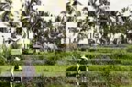 Des Asia Indonesia Bali Rice Field02 1600X1600