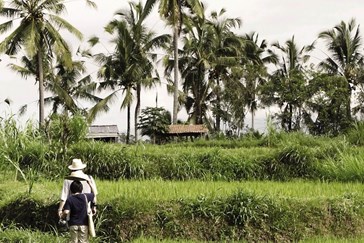 Des Asia Indonesia Bali Rice Field02 1600X1600