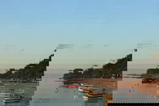 FS3C5456 Copy