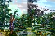 TOUR Copy Scaled