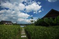 Pbmview