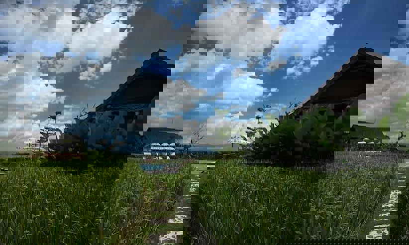 Pbmview