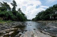 Scenic view of the Bohorok River near Bukit Lawang Ecolodge, Sumatra surrounded, by lush jungle forest. 