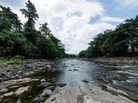 Scenic view of the Bohorok River near Bukit Lawang Ecolodge, Sumatra surrounded, by lush jungle forest. 