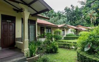 Ecolodge Bukit Lawang