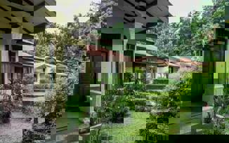 Ecolodge Bukit Lawang