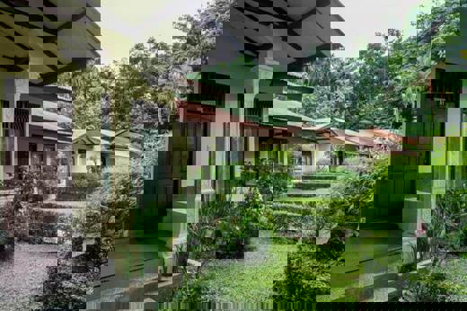 Ecolodge Bukit Lawang