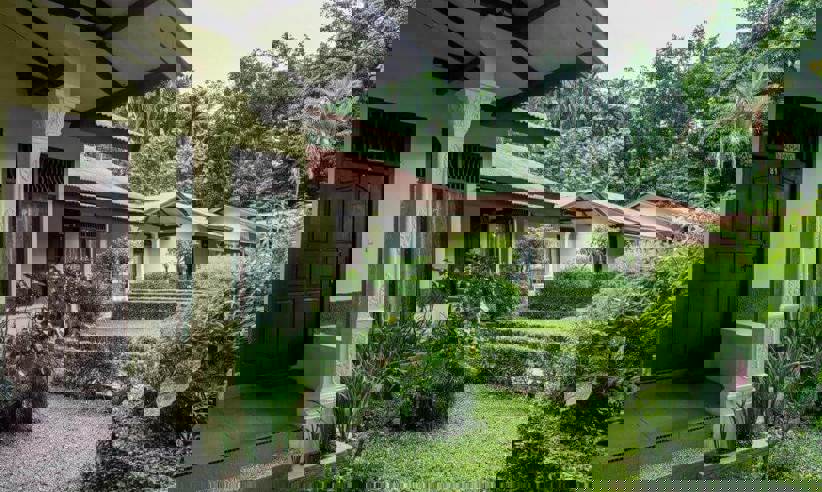 Ecolodge Bukit Lawang