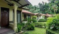 Ecolodge Bukit Lawang