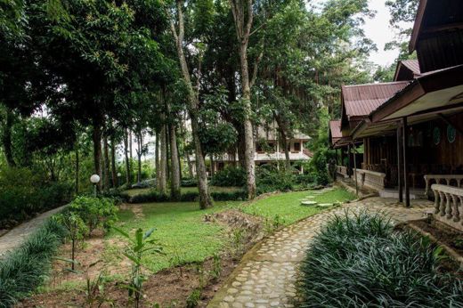 Delightful gardens 