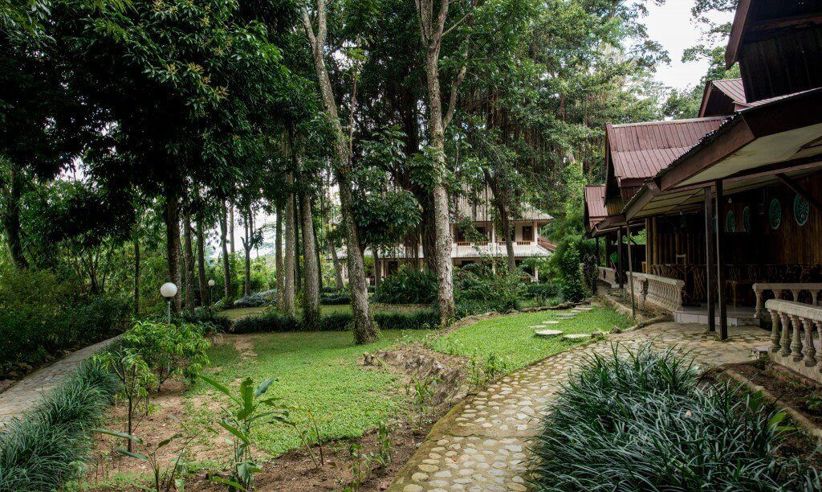 Delightful gardens 