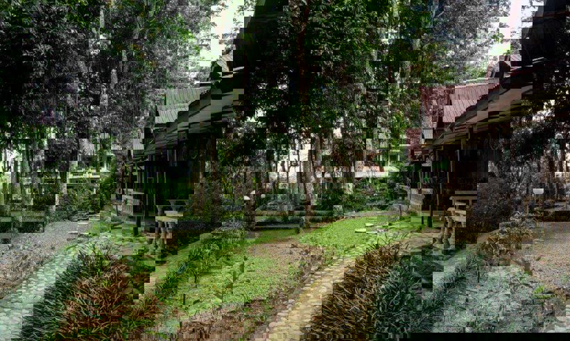Delightful gardens 
