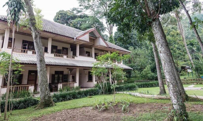The rooms overlook the garden 