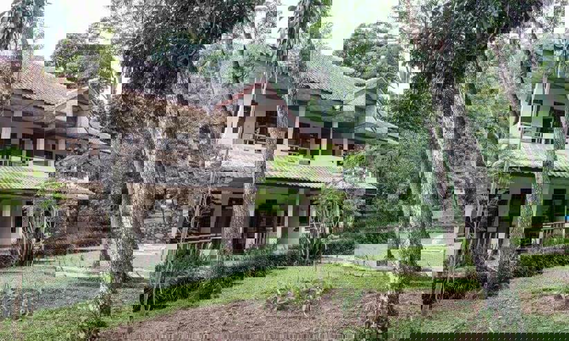 The rooms overlook the garden 