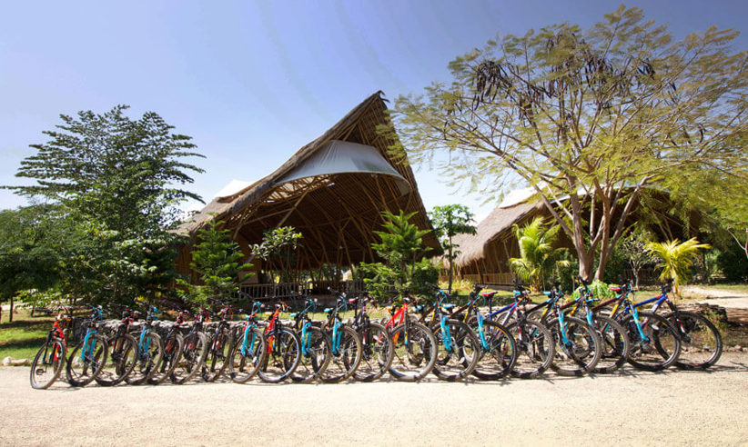 Bicycles1 LORES