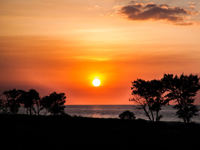 Golden sunset over a calm Indonesian beach with silhouetted trees and glowing clouds casting reflections on the sea.