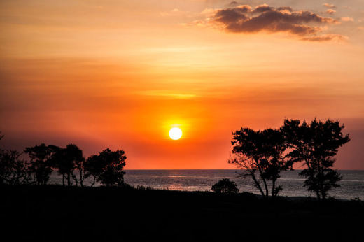 Golden sunset over a calm Indonesian beach with silhouetted trees and glowing clouds casting reflections on the sea.