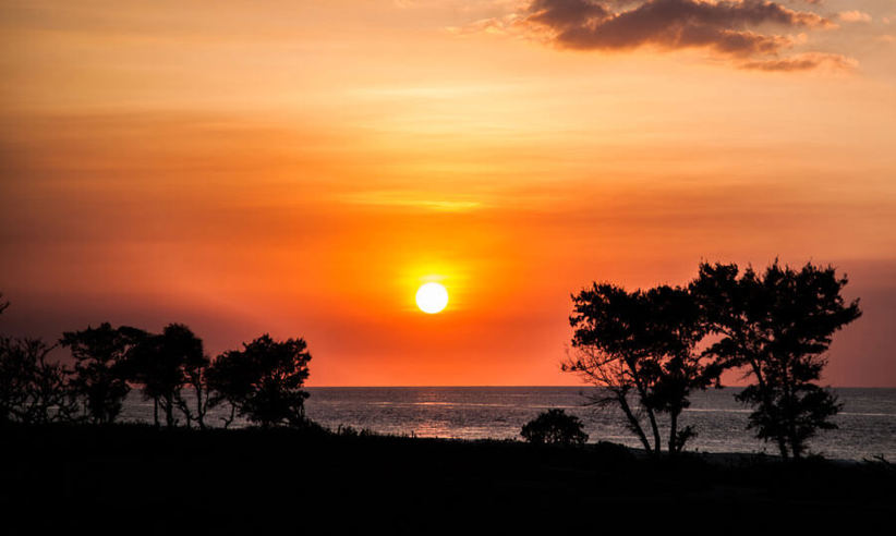 Golden sunset over a calm Indonesian beach with silhouetted trees and glowing clouds casting reflections on the sea.