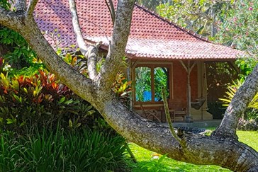 Puri Dajuma Bali VIP Cottages Outside View Tropical Garden