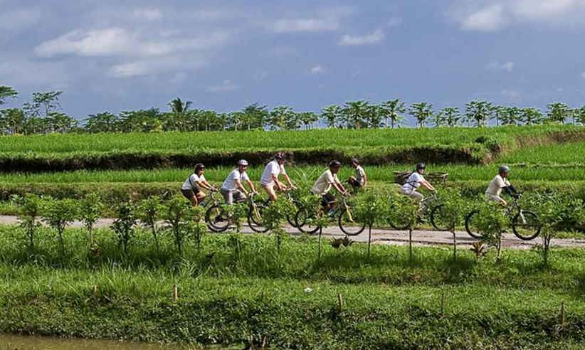 3 Medium Biking
