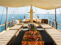 Life on the sun deck