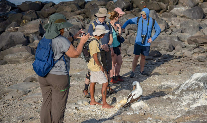 Animal Watching with expert guides