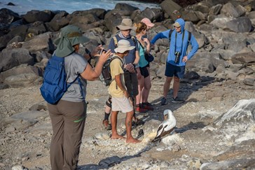 Animal Watching with expert guides