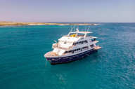 Bonita cruising
