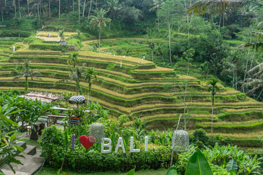 Bali Terraces
