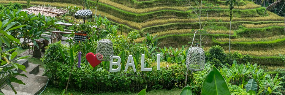 Bali Terraces
