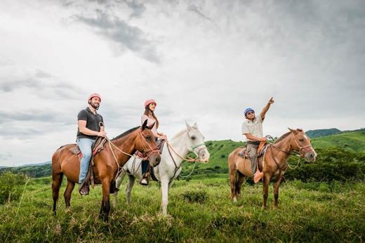 Horseriding Tours