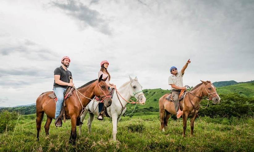 Horseriding Tours