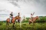 Horseriding Tours