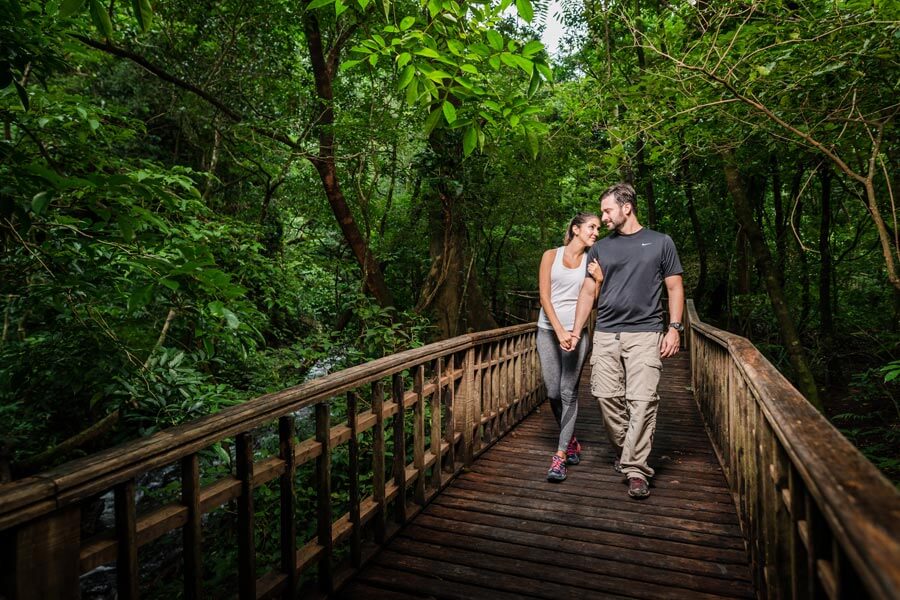 Walkway In The Forest