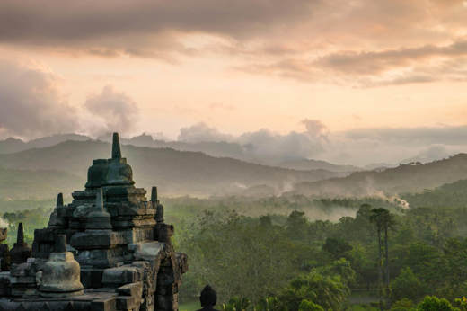 Visit nearby Borobudur 