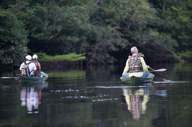 Exploring the rainforest by canoe