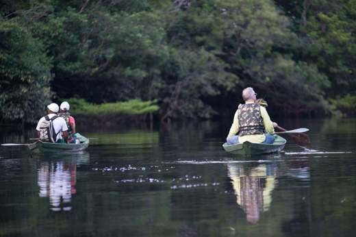 Exploring the rainforest by canoe