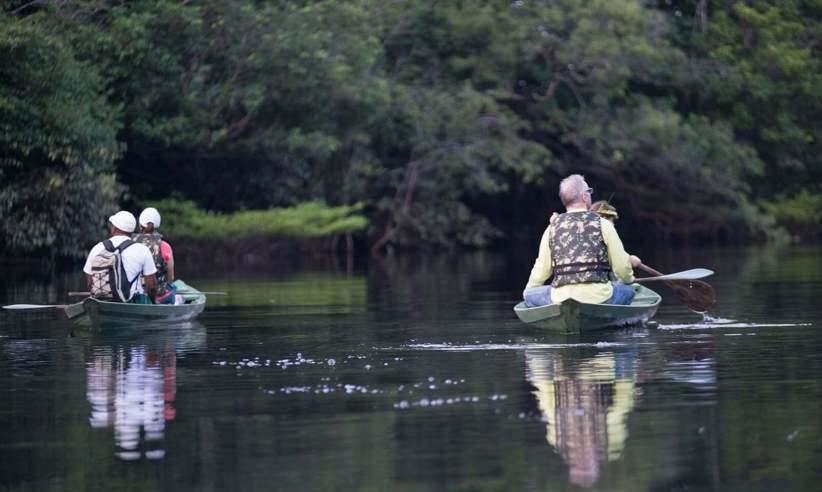 Exploring the rainforest by canoe