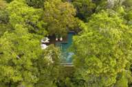 View of the pool hidden in the jungle