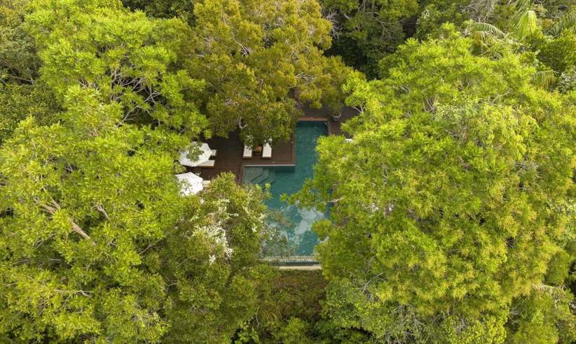 View of the pool hidden in the jungle
