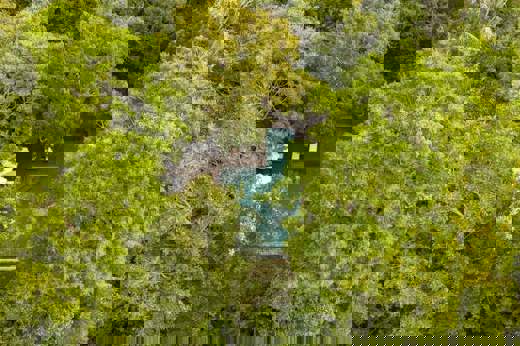 View of the pool hidden in the jungle