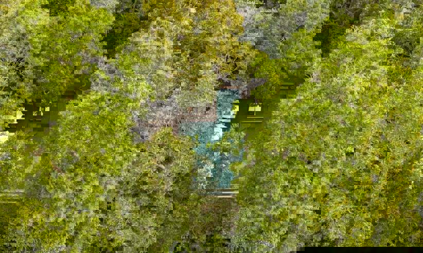 View of the pool hidden in the jungle