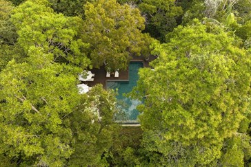 View of the pool hidden in the jungle