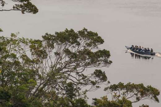The mighty Amazon