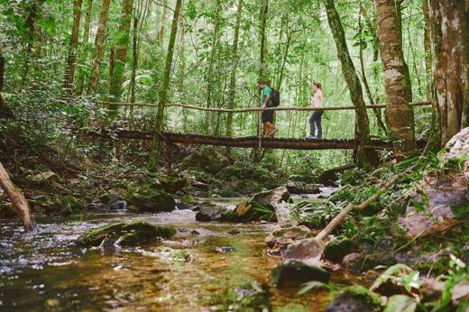 Guess Which Way Is This Hike