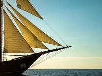 Luxury adventure cruises 
