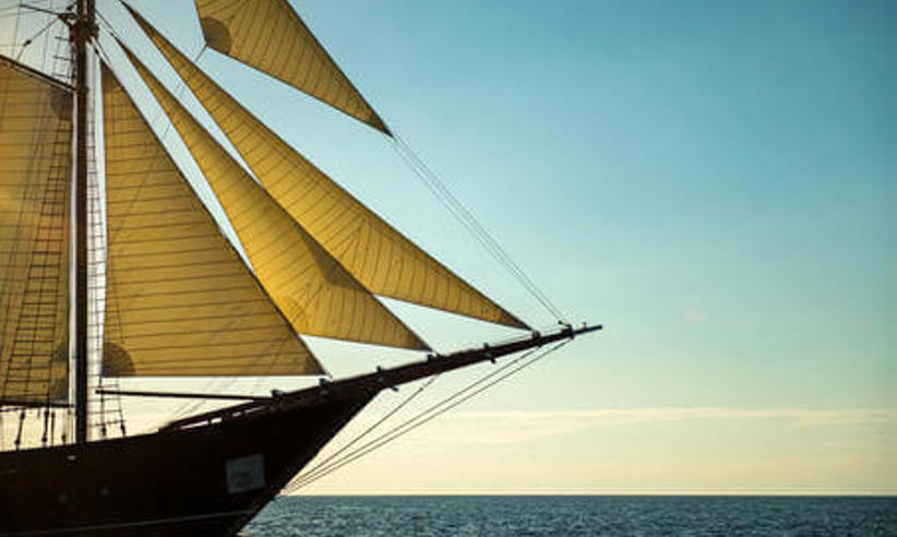 Luxury adventure cruises 