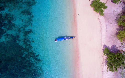 Pink Beach, Komodo Island