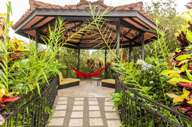 Amazing gardens 
